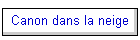 Canon dans la neige