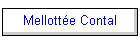 Mellotte Contal