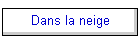 Dans la neige